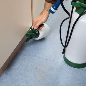 A person spraying a room with a sprayer- Moss Bollinger LLP