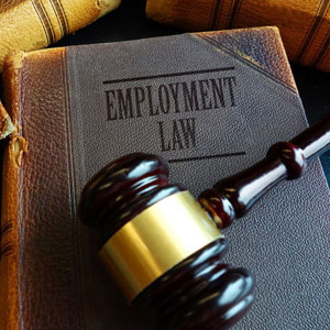 image of an employment law book, a gavel, and books arranged on a table - Moss Bollinger LLP